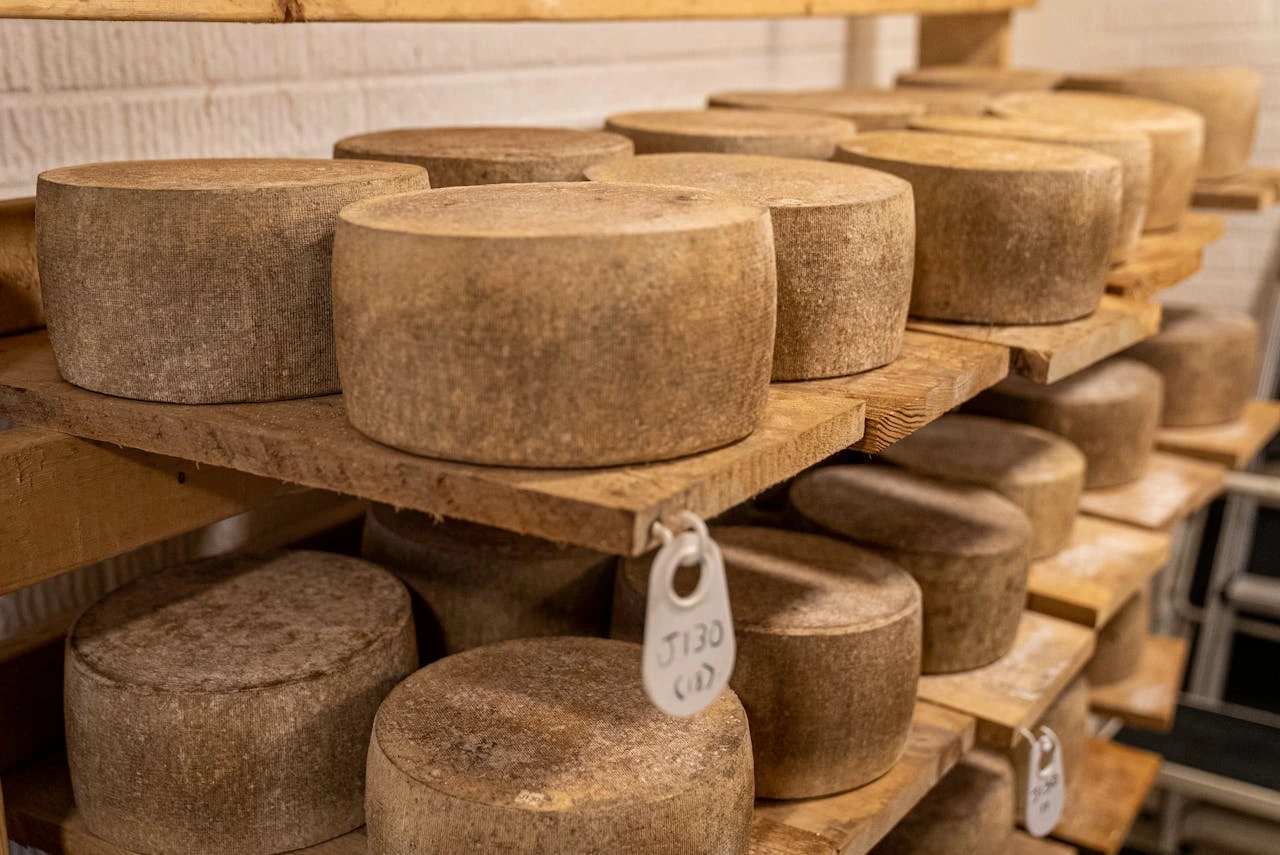 Wheels of cheese on a shelf.